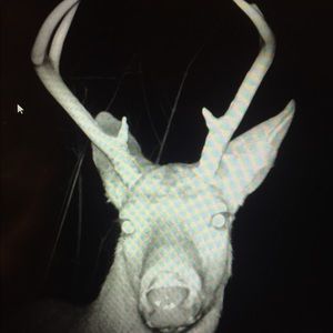 Meet your Posher, Drew